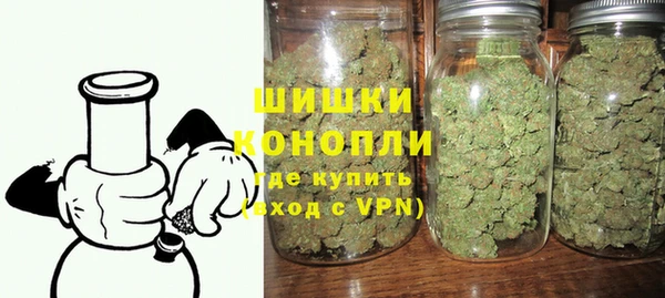 индика Бронницы